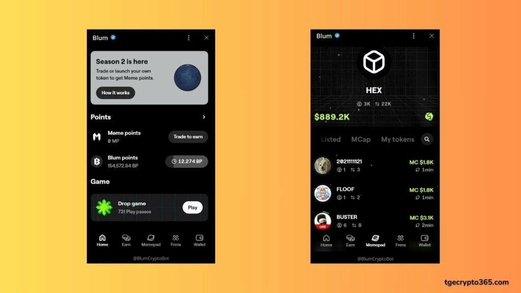 Blum Crypto
