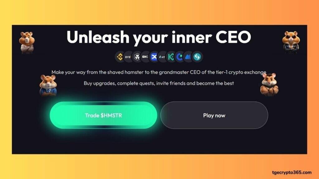 hamster kombat