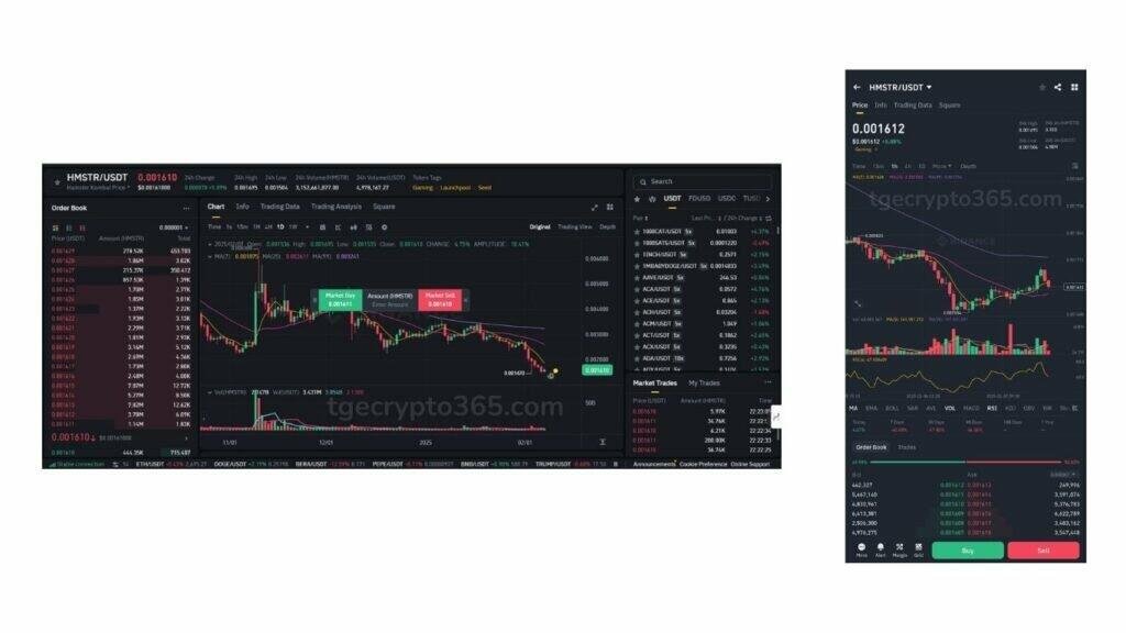 Trading Hamster Kombat on Binance