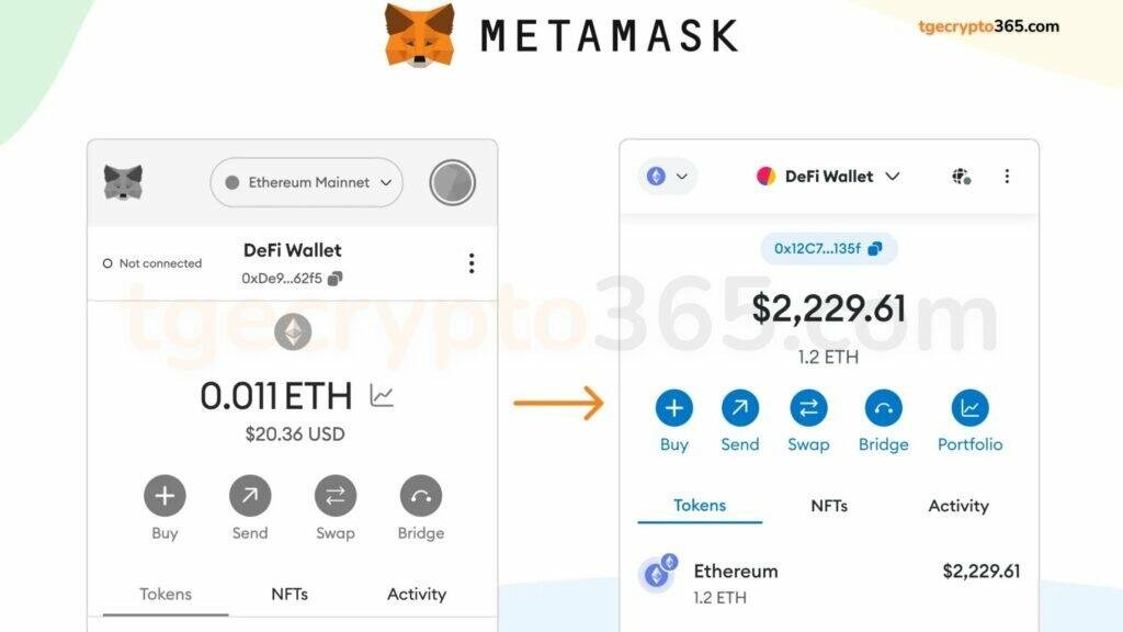 Metamask Wallet
